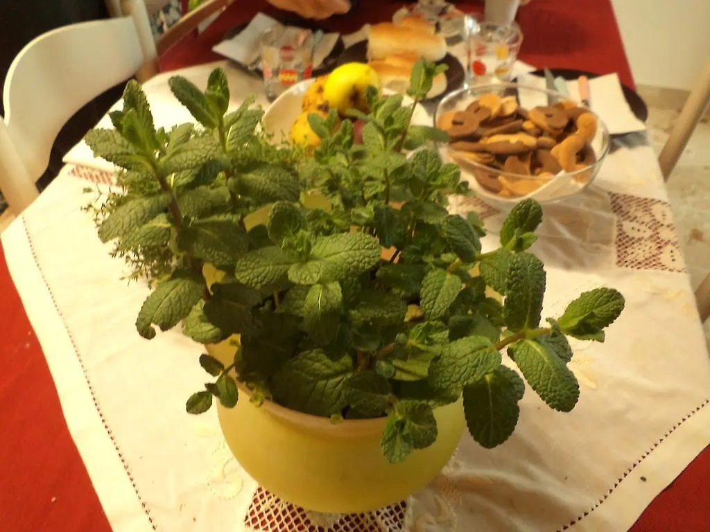Welcome Home Apartment Κατάνια Bed and Breakfast